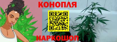 дурь Заводоуковск