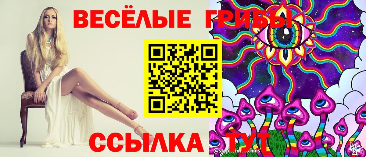 Старый Оскол  Псилоцибиновые грибы Psilocybe  Псилоцибиновые грибы прущие грибы  Вход с VPN 